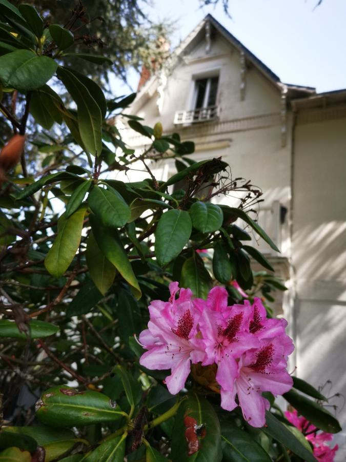 Chambres D'Hotes La Maison Blanche サン・ジュニアン エクステリア 写真